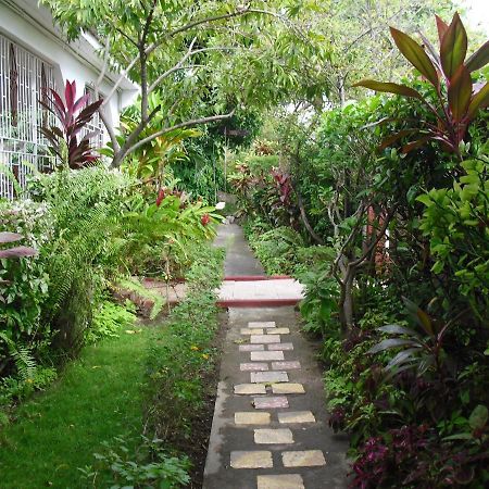 15 Min From The Airport In Kingston Jamaica Διαμέρισμα Εξωτερικό φωτογραφία