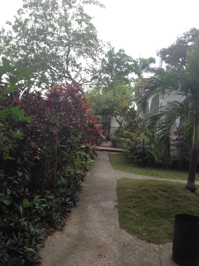 15 Min From The Airport In Kingston Jamaica Διαμέρισμα Εξωτερικό φωτογραφία